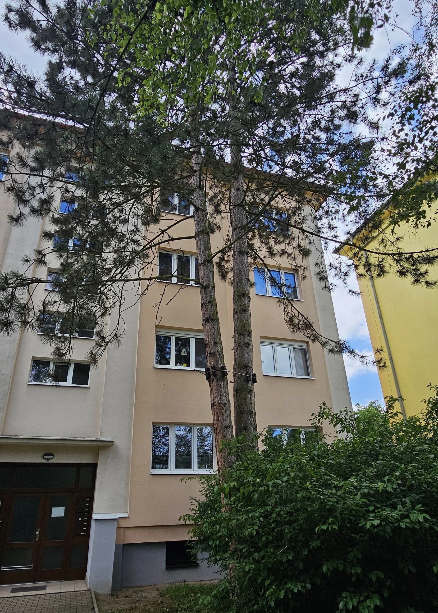 Photograph 1